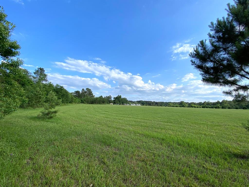 13090 1 Bethel Road, Montgomery, Texas 77356, ,Country Homes/acreage,For Sale,Bethel,35205373