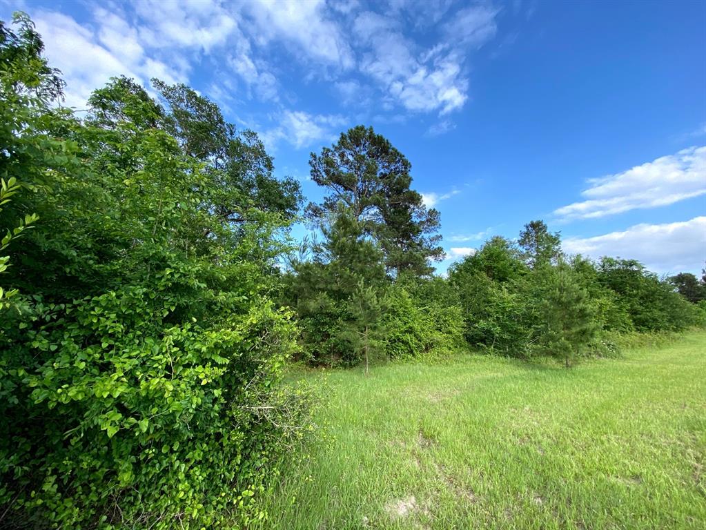 13090 1 Bethel Road, Montgomery, Texas 77356, ,Country Homes/acreage,For Sale,Bethel,35205373