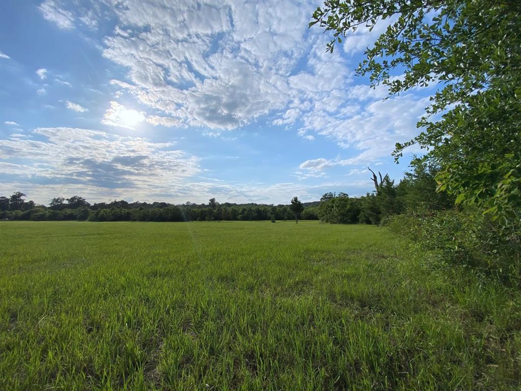 13090 1 Bethel Road, Montgomery, Texas 77356, ,Country Homes/acreage,For Sale,Bethel,35205373