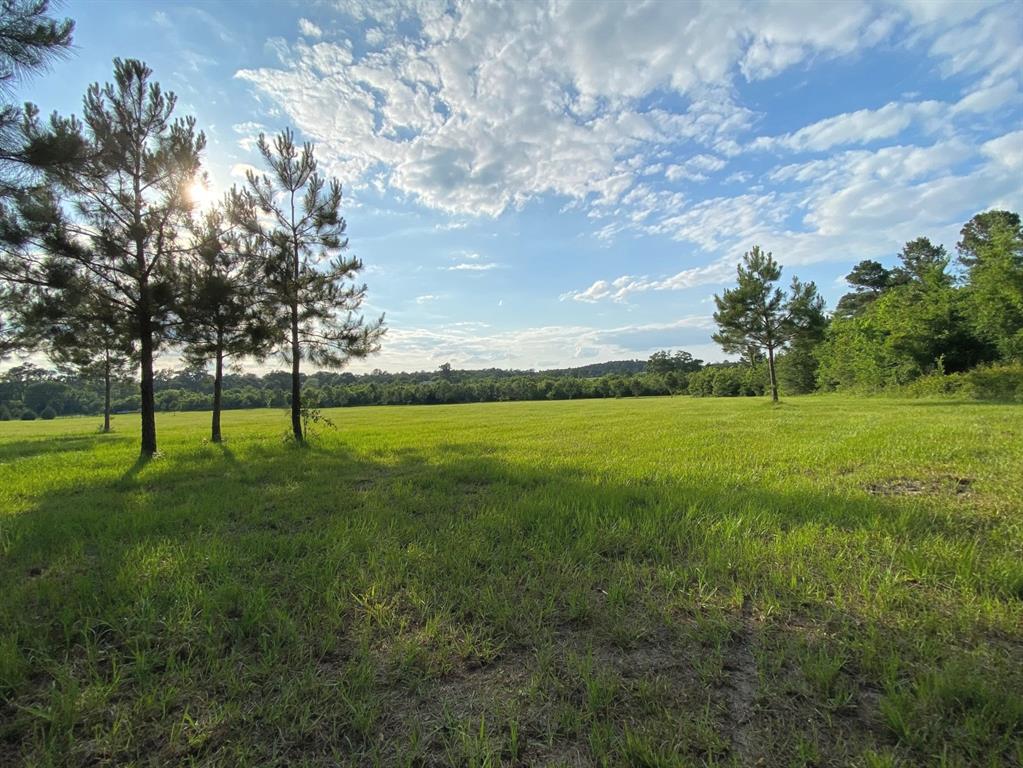 13090 1 Bethel Road, Montgomery, Texas 77356, ,Country Homes/acreage,For Sale,Bethel,35205373