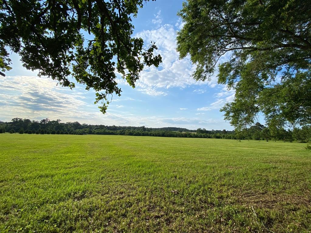 13090 1 Bethel Road, Montgomery, Texas 77356, ,Country Homes/acreage,For Sale,Bethel,35205373