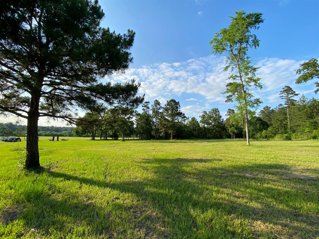 13090 1 Bethel Road, Montgomery, Texas 77356, ,Country Homes/acreage,For Sale,Bethel,35205373