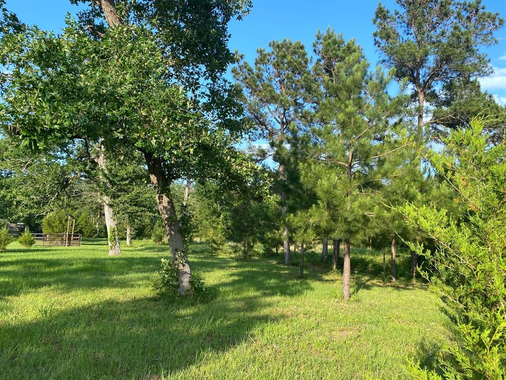 13090 1 Bethel Road, Montgomery, Texas 77356, ,Country Homes/acreage,For Sale,Bethel,35205373