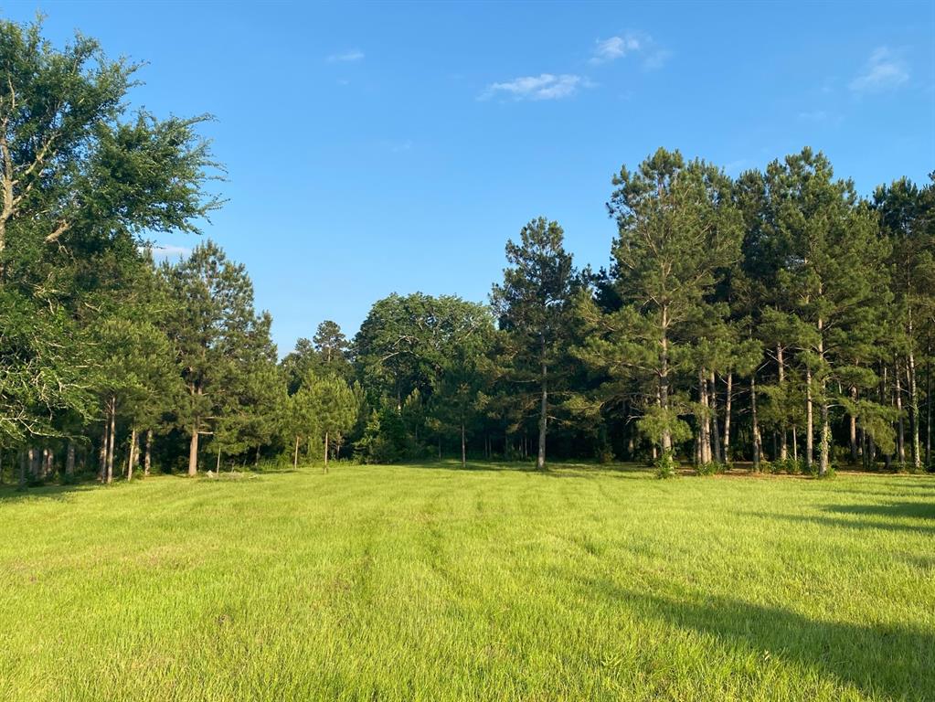 13090 1 Bethel Road, Montgomery, Texas 77356, ,Country Homes/acreage,For Sale,Bethel,35205373