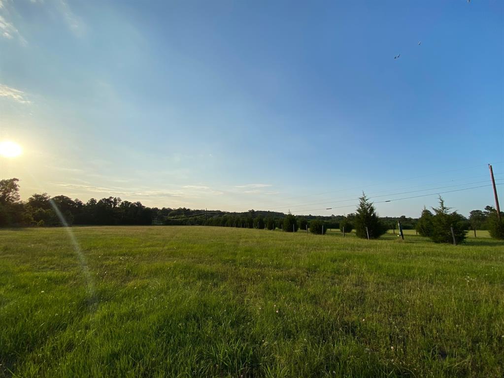 13090 1 Bethel Road, Montgomery, Texas 77356, ,Country Homes/acreage,For Sale,Bethel,35205373