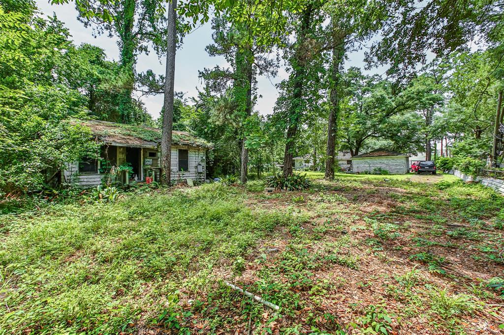 1706 1 Johanna Drive, Houston, Texas 77055, 3 Bedrooms Bedrooms, 3 Rooms Rooms,1 BathroomBathrooms,Single-family,For Sale,Johanna,55442222