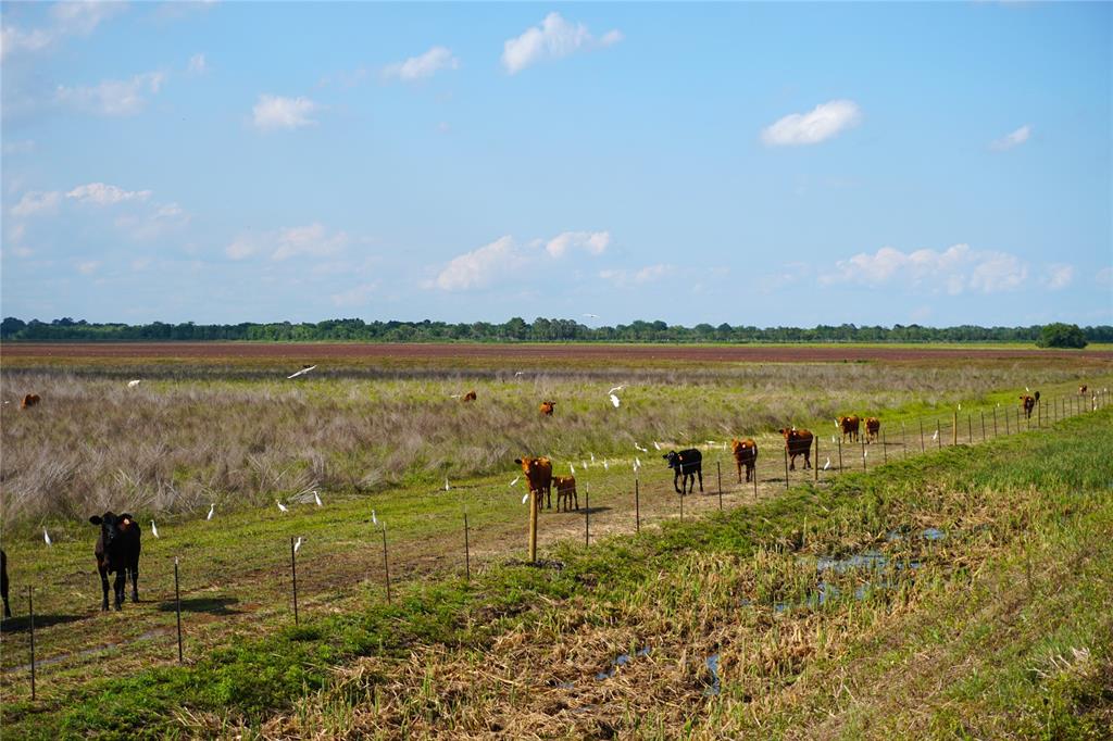 0 County Road 167, Alvin, Texas 77511, ,Country Homes/acreage,For Sale,County Road 167,39135541