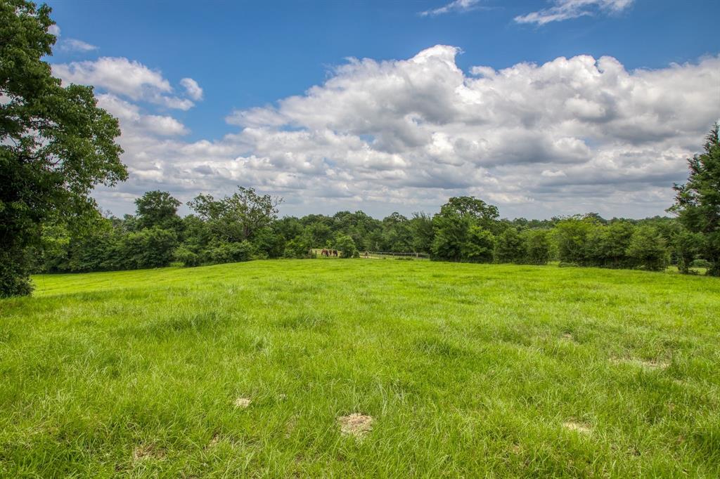 00 Hwy 75 Highway, Centerville, Texas 75833, ,Country Homes/acreage,For Sale,Hwy 75,14463726