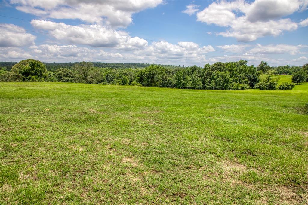 00 Hwy 75 Highway, Centerville, Texas 75833, ,Country Homes/acreage,For Sale,Hwy 75,14463726