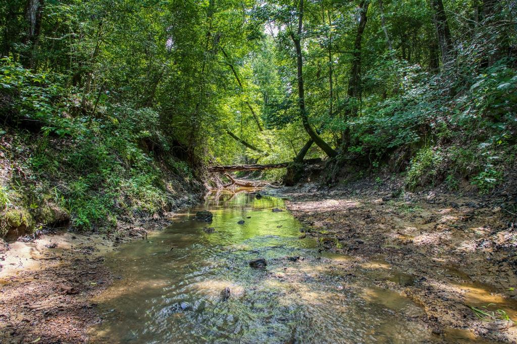00 Hwy 75 Highway, Centerville, Texas 75833, ,Country Homes/acreage,For Sale,Hwy 75,14463726