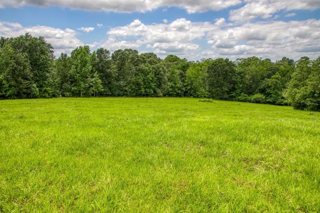00 Hwy 75 Highway, Centerville, Texas 75833, ,Country Homes/acreage,For Sale,Hwy 75,14463726