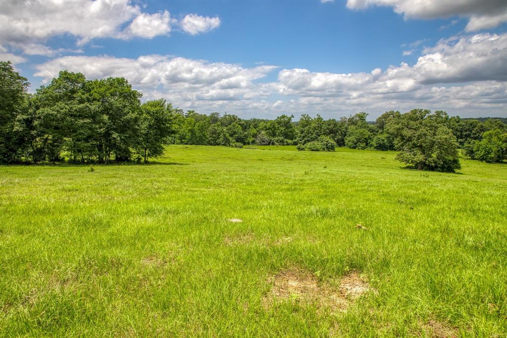 00 Hwy 75 Highway, Centerville, Texas 75833, ,Country Homes/acreage,For Sale,Hwy 75,14463726