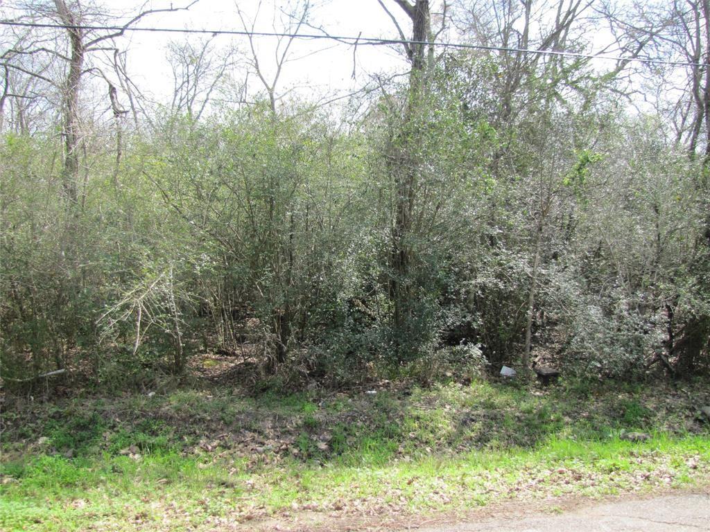 335 6th Street, Magnolia, Texas 77355, ,Lots,For Sale,6th,36587155