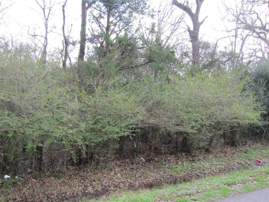 335 6th Street, Magnolia, Texas 77355, ,Lots,For Sale,6th,36587155