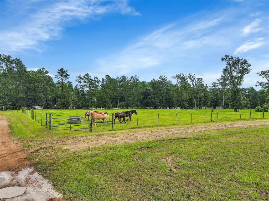 30510 2 Sugar Bend Drive, Magnolia, Texas 77355, 3 Bedrooms Bedrooms, 8 Rooms Rooms,3 BathroomsBathrooms,Country Homes/acreage,For Sale,Sugar Bend,56283782