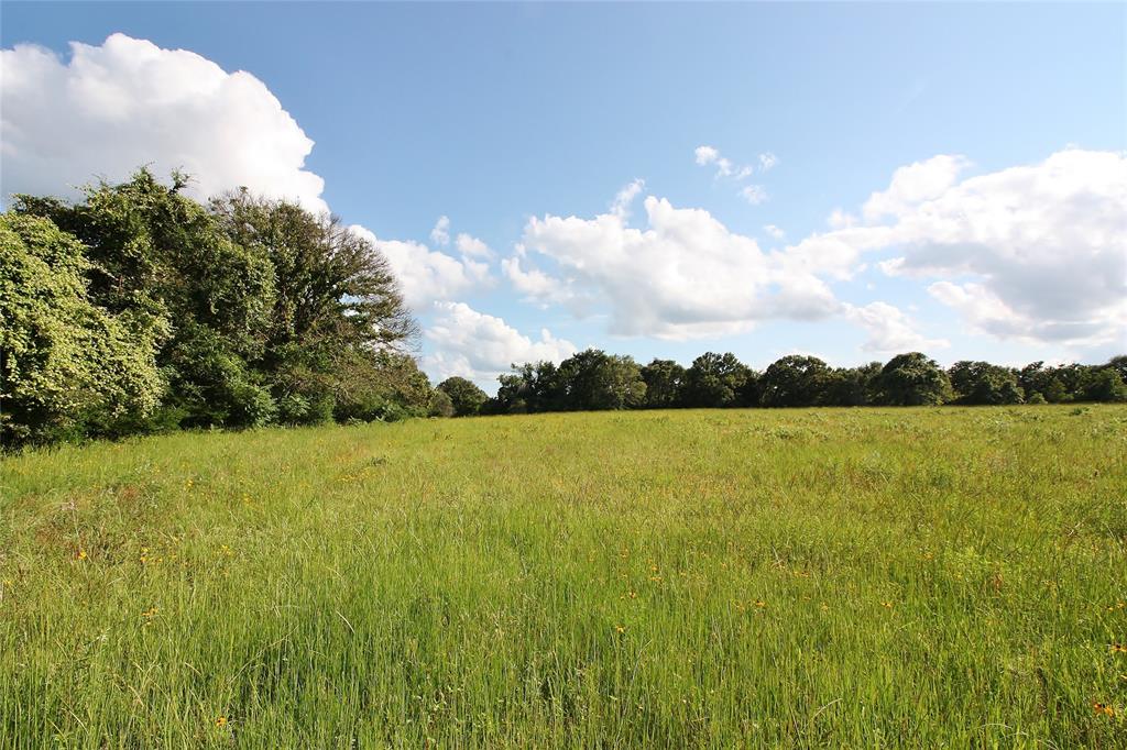 Buffalo, TX 75831,28.49 Acres County Rd 330