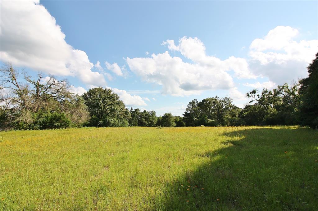 Buffalo, TX 75831,28.49 Acres County Rd 330