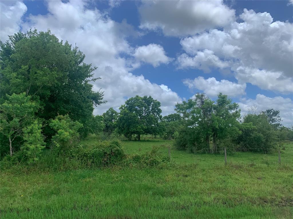 0 County Road 220, Angleton, Texas 77515, ,Lots,For Sale,County Road 220,74684663