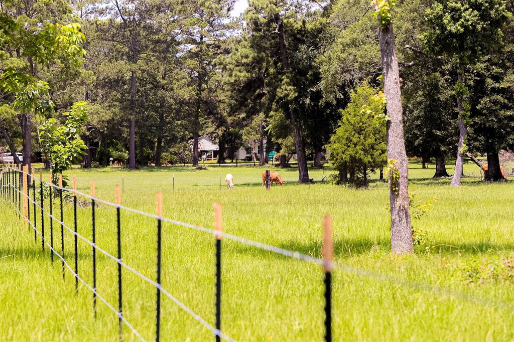 TBD Wigginsville Road, Conroe, Texas 77302, ,Lots,For Sale,Wigginsville,34034535