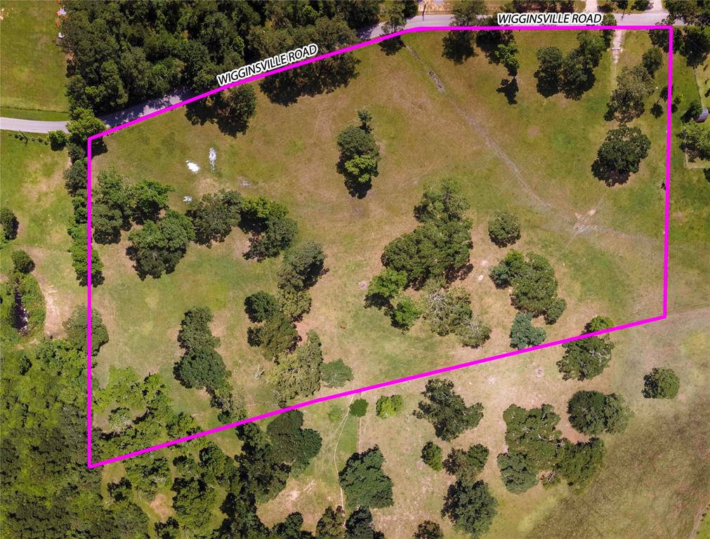 TBD Wigginsville Road, Conroe, Texas 77302, ,Lots,For Sale,Wigginsville,34034535