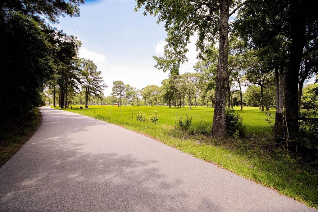 TBD Wigginsville Road, Conroe, Texas 77302, ,Lots,For Sale,Wigginsville,34034535