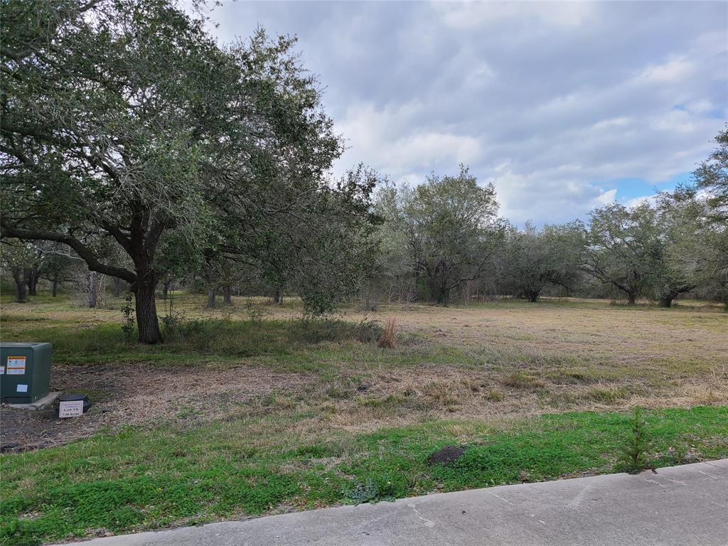 Lot 15  Cattle Drive Bay City Texas 77414, 54