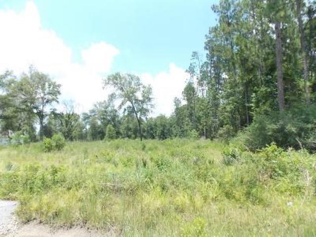 2205 Old Beaumont Road, Sour Lake, TX 77659