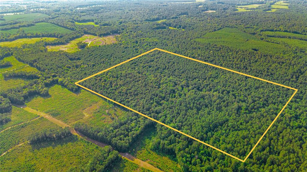 40 Acres  Timber Road 23  Chester Texas 75936, 48