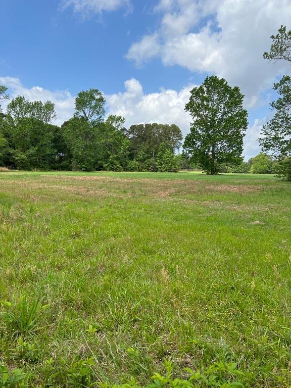 Tract 1 Reagan Reserve, Magnolia, Texas 77354, ,Country Homes/acreage,For Sale,Reagan Reserve,8288234