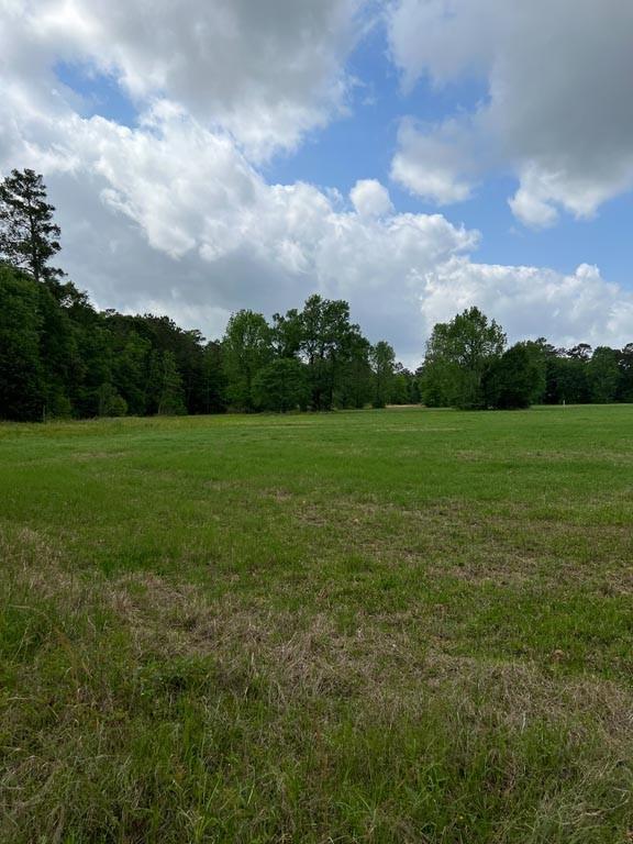 Tract 1 Reagan Reserve, Magnolia, Texas 77354, ,Country Homes/acreage,For Sale,Reagan Reserve,8288234