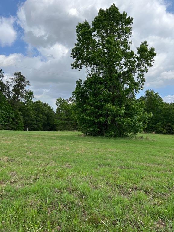 Tract 1 Reagan Reserve, Magnolia, Texas 77354, ,Country Homes/acreage,For Sale,Reagan Reserve,8288234