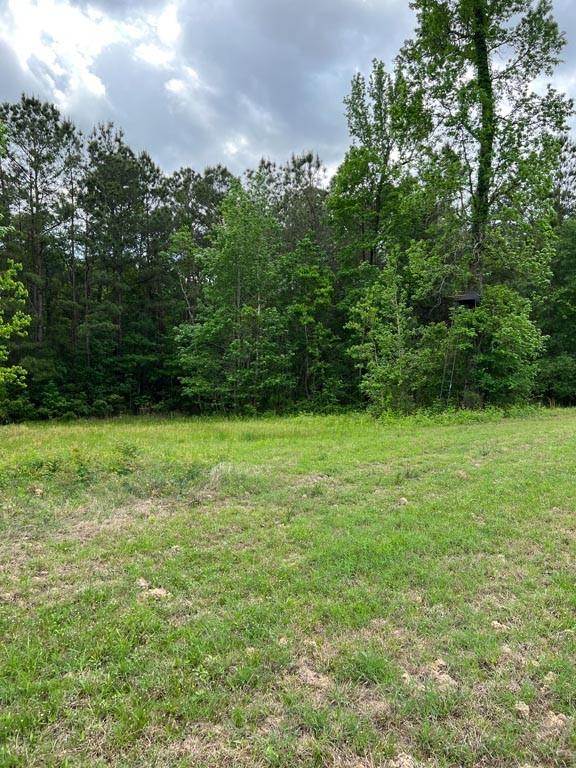 Tract 1 Reagan Reserve, Magnolia, Texas 77354, ,Country Homes/acreage,For Sale,Reagan Reserve,8288234