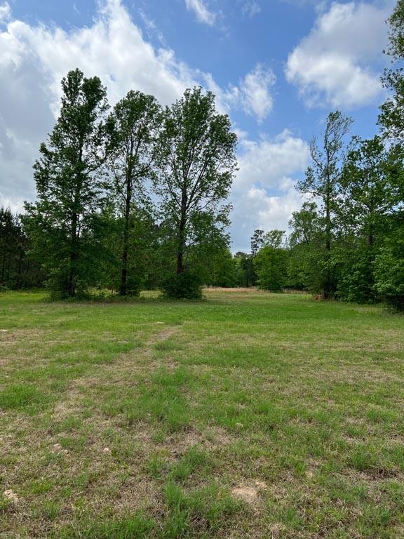 Tract 1 Reagan Reserve, Magnolia, Texas 77354, ,Country Homes/acreage,For Sale,Reagan Reserve,8288234