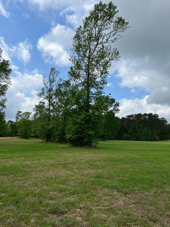 Tract 1 Reagan Reserve, Magnolia, Texas 77354, ,Country Homes/acreage,For Sale,Reagan Reserve,8288234