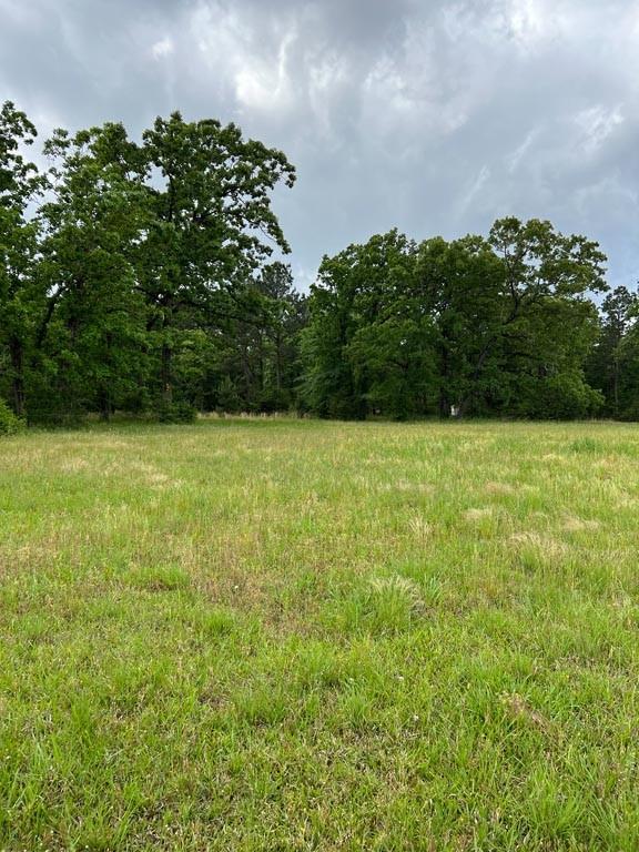 Tract 1 Reagan Reserve, Magnolia, Texas 77354, ,Country Homes/acreage,For Sale,Reagan Reserve,8288234