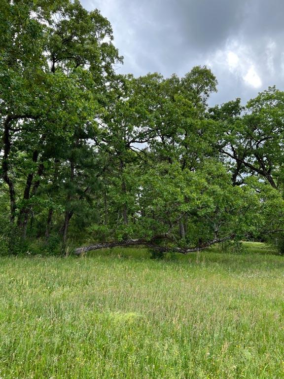 Tract 1 Reagan Reserve, Magnolia, Texas 77354, ,Country Homes/acreage,For Sale,Reagan Reserve,8288234