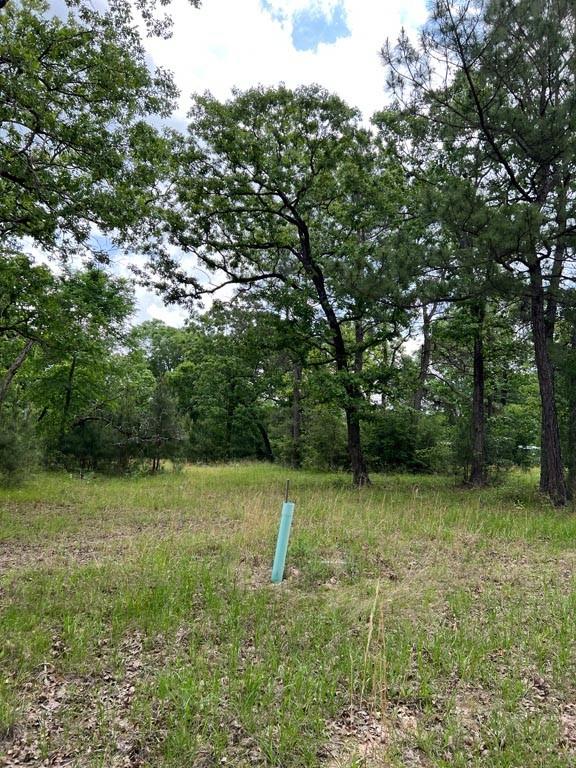 Tract 1 Reagan Reserve, Magnolia, Texas 77354, ,Country Homes/acreage,For Sale,Reagan Reserve,8288234