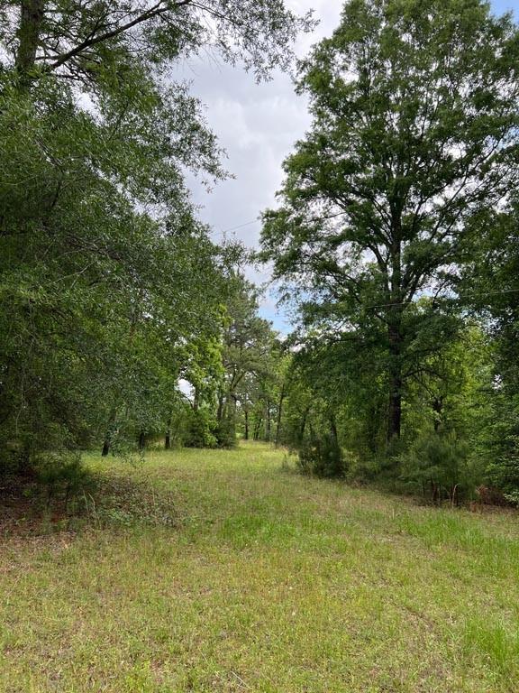 Tract 1 Reagan Reserve, Magnolia, Texas 77354, ,Country Homes/acreage,For Sale,Reagan Reserve,8288234