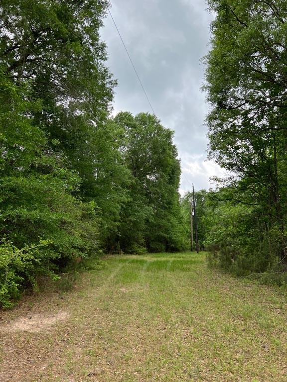 Tract 1 Reagan Reserve, Magnolia, Texas 77354, ,Country Homes/acreage,For Sale,Reagan Reserve,8288234