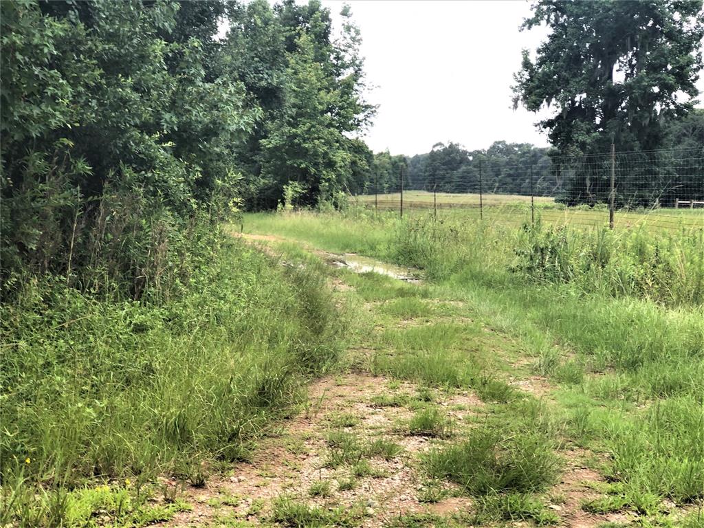 Shepherd, TX 77371,Lot 82 Buck Creek RD