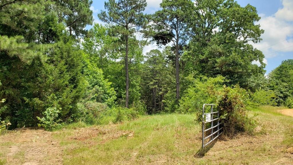 Brownsboro, TX 75756,16501 Private Road 7403