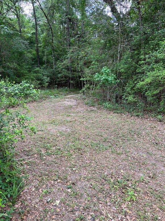 Tract 6 Reagan Reserve, Magnolia, Texas 77354, ,Lots,For Sale,Reagan Reserve,13606093