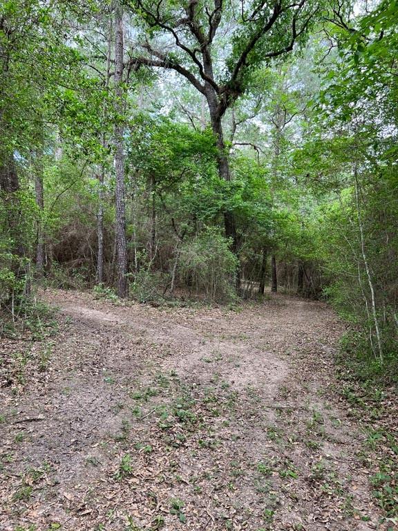 Tract 6 Reagan Reserve, Magnolia, Texas 77354, ,Lots,For Sale,Reagan Reserve,13606093