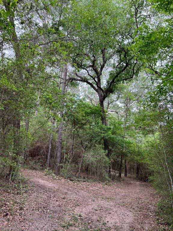 Tract 6 Reagan Reserve, Magnolia, Texas 77354, ,Lots,For Sale,Reagan Reserve,13606093