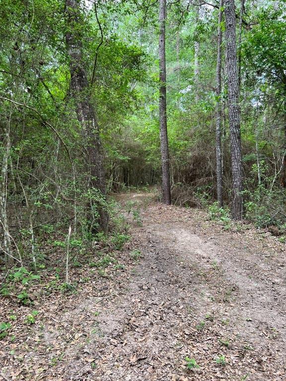 Tract 6 Reagan Reserve, Magnolia, Texas 77354, ,Lots,For Sale,Reagan Reserve,13606093