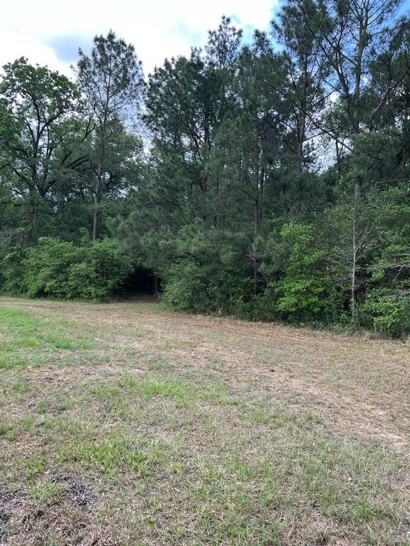 Tract 6 Reagan Reserve, Magnolia, Texas 77354, ,Lots,For Sale,Reagan Reserve,13606093