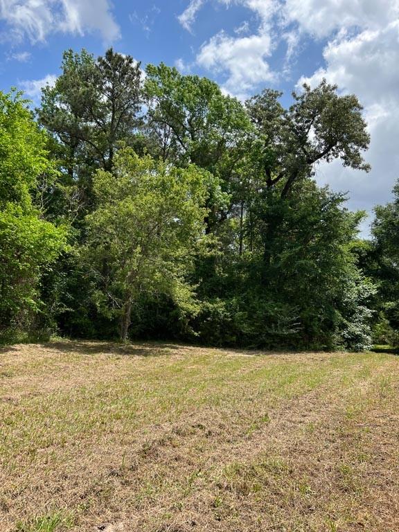 Tract 6 Reagan Reserve, Magnolia, Texas 77354, ,Lots,For Sale,Reagan Reserve,13606093