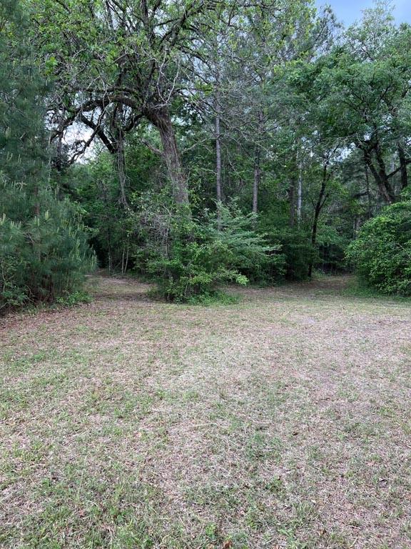 Tract 6 Reagan Reserve, Magnolia, Texas 77354, ,Lots,For Sale,Reagan Reserve,13606093