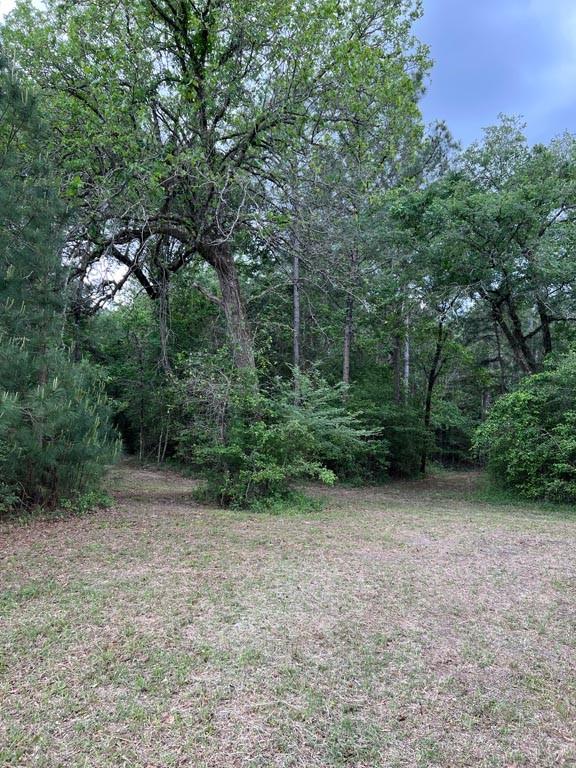 Tract 6 Reagan Reserve, Magnolia, Texas 77354, ,Lots,For Sale,Reagan Reserve,13606093