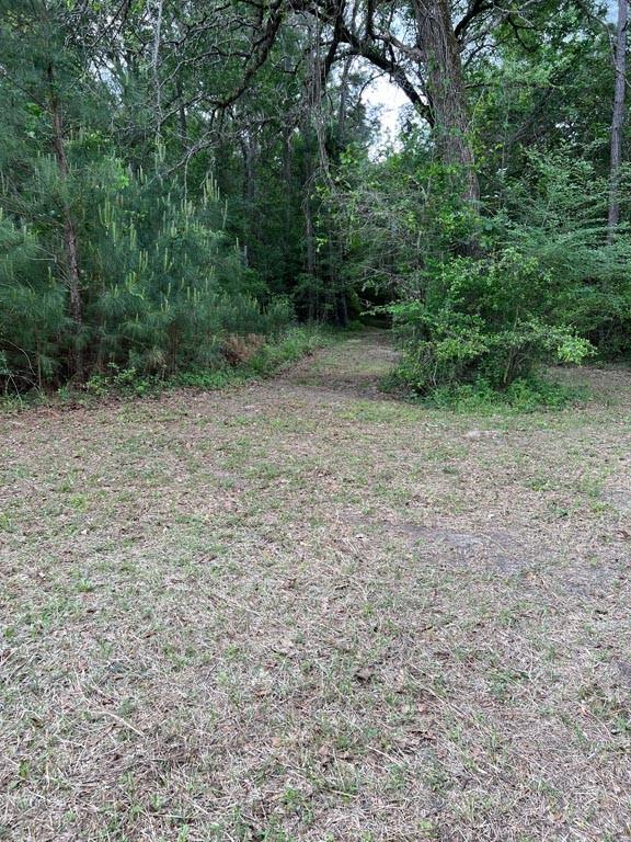 Tract 6 Reagan Reserve, Magnolia, Texas 77354, ,Lots,For Sale,Reagan Reserve,13606093